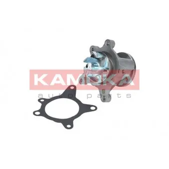 Pompe à eau KAMOKA T0163