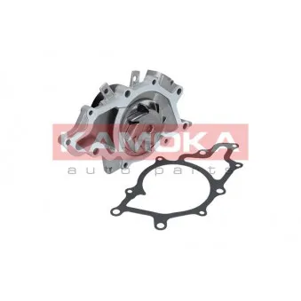 Pompe à eau KAMOKA T0168