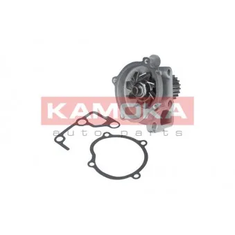 Pompe à eau KAMOKA T0170