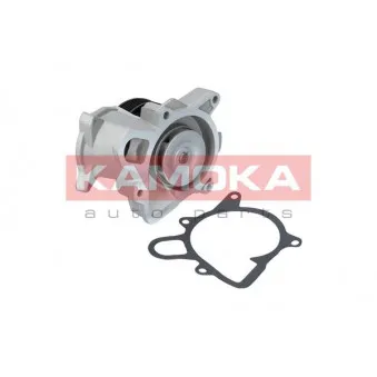 Pompe à eau KAMOKA T0173