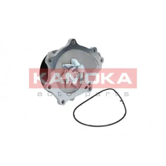 Pompe à eau KAMOKA T0176