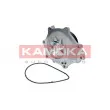 Pompe à eau KAMOKA T0176 - Visuel 2