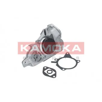 Pompe à eau KAMOKA T0177
