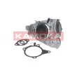Pompe à eau KAMOKA T0177 - Visuel 2