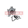 Pompe à eau KAMOKA T0178 - Visuel 1