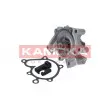 Pompe à eau KAMOKA T0178 - Visuel 2
