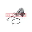 Pompe à eau KAMOKA T0179 - Visuel 1