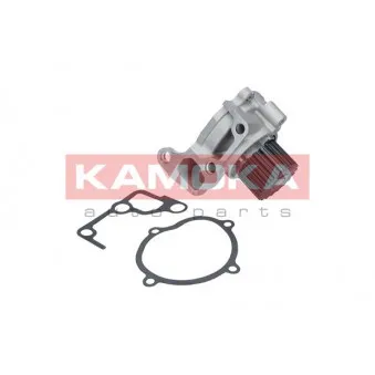 Pompe à eau KAMOKA T0179