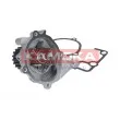 Pompe à eau KAMOKA T0179 - Visuel 3