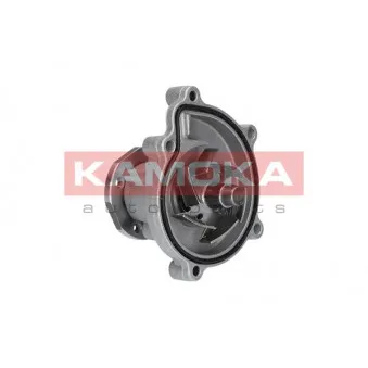 Pompe à eau KAMOKA T0182