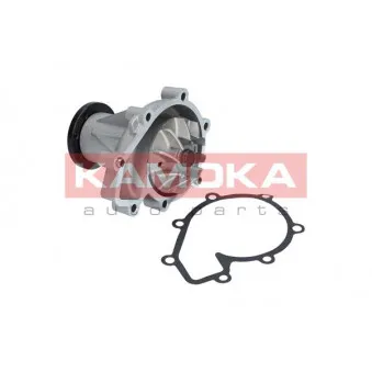 Pompe à eau KAMOKA T0184