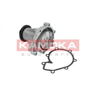 Pompe à eau KAMOKA T0185