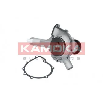 Pompe à eau KAMOKA T0186