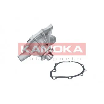 Pompe à eau KAMOKA T0189