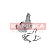 Pompe à eau KAMOKA T0192 - Visuel 1