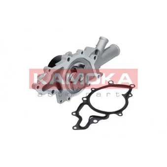 Pompe à eau KAMOKA T0193