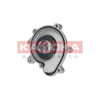 Pompe à eau KAMOKA T0194