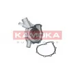 Pompe à eau KAMOKA T0197 - Visuel 1