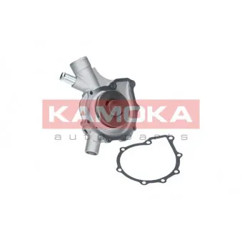 Pompe à eau KAMOKA T0197