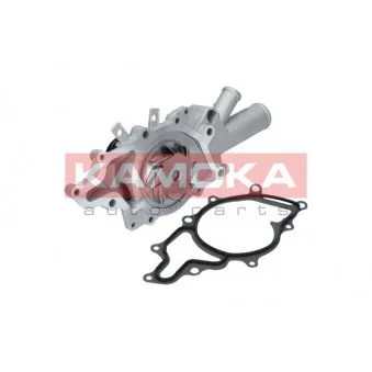 Pompe à eau KAMOKA T0199