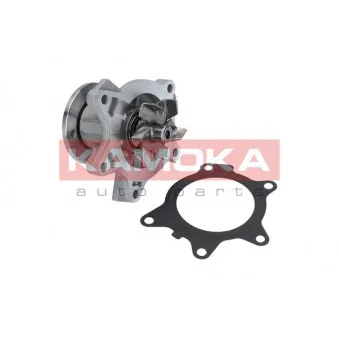 Pompe à eau KAMOKA T0204