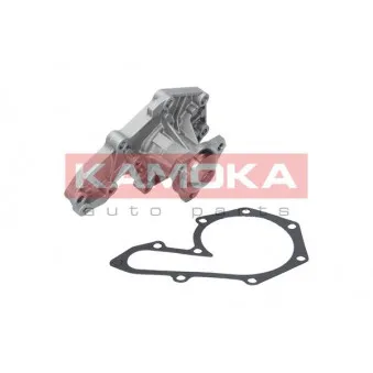 Pompe à eau KAMOKA T0207