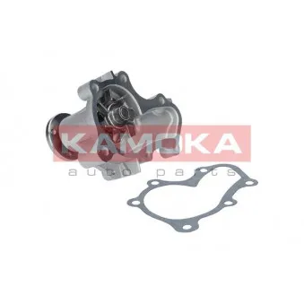 Pompe à eau KAMOKA T0208