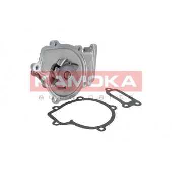 Pompe à eau KAMOKA T0210