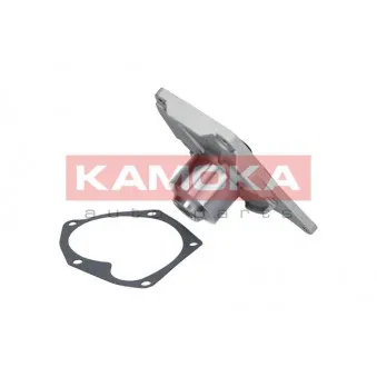 Pompe à eau KAMOKA T0214