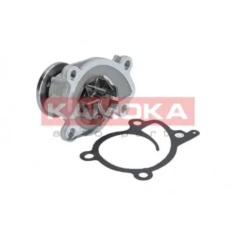 Pompe à eau KAMOKA T0215