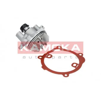Pompe à eau KAMOKA T0216