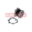 Pompe à eau KAMOKA T0219 - Visuel 1