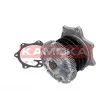 Pompe à eau KAMOKA T0219 - Visuel 2