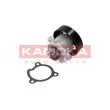 Pompe à eau KAMOKA T0221 - Visuel 2