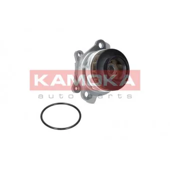 Pompe à eau KAMOKA T0222