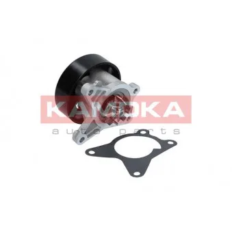Pompe à eau KAMOKA T0223