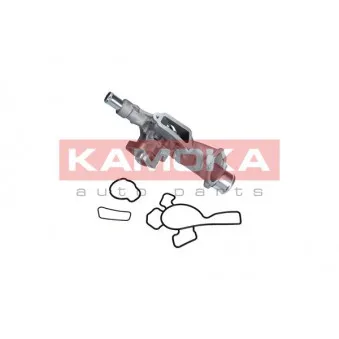 Pompe à eau KAMOKA T0225