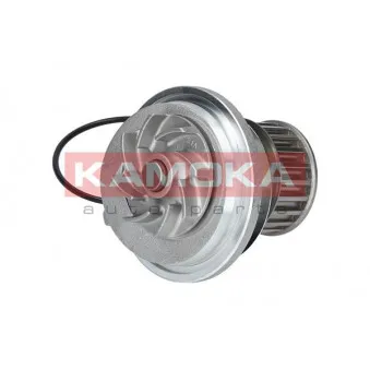 Pompe à eau KAMOKA T0228