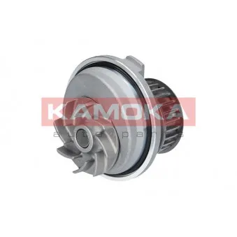 Pompe à eau KAMOKA T0229