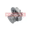 Pompe à eau KAMOKA T0231 - Visuel 1
