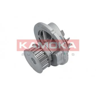 Pompe à eau KAMOKA T0231