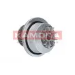 Pompe à eau KAMOKA T0232 - Visuel 1