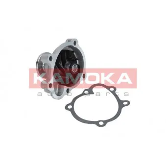 Pompe à eau KAMOKA T0233