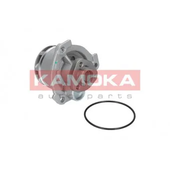 Pompe à eau KAMOKA T0234
