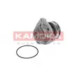 Pompe à eau KAMOKA T0234 - Visuel 2