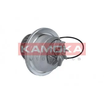 Pompe à eau KAMOKA T0235