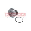 Pompe à eau KAMOKA T0235 - Visuel 2