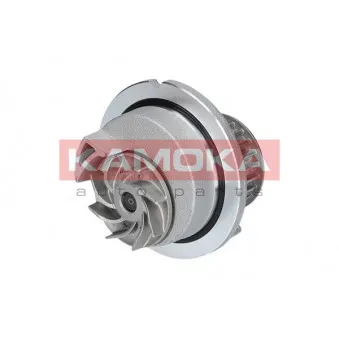 Pompe à eau KAMOKA T0236