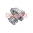 Pompe à eau KAMOKA T0236 - Visuel 3