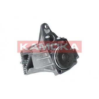 Pompe à eau KAMOKA T0238